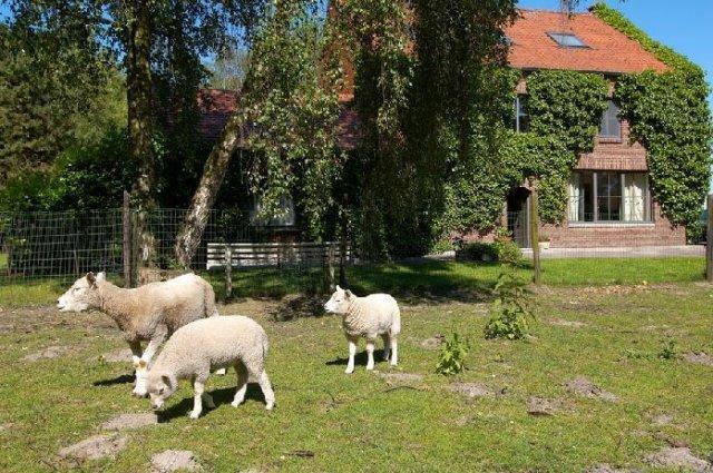B&B De Passerel Bree Exteriör bild